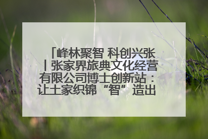 峰林聚智 科创兴张丨张家界旅典文化经营有限公司博士创新站：让土家织锦“智”造出非遗新传奇