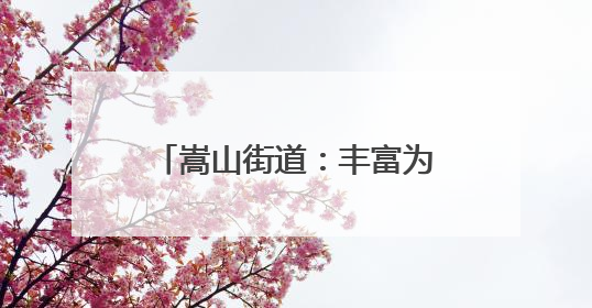 嵩山街道：丰富为民服务场景 打造“家门口”品质生活