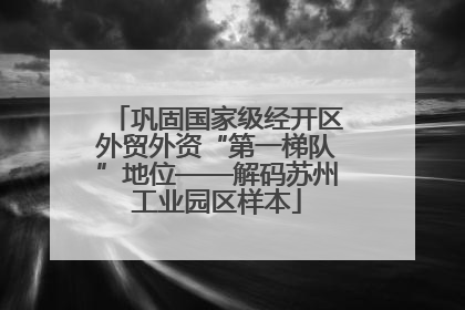 巩固国家级经开区外贸外资“第一梯队”地位——解码苏州工业园区样本