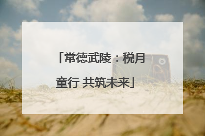 常德武陵：税月童行 共筑未来