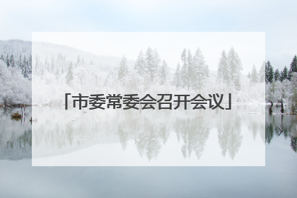 市委常委会召开会议