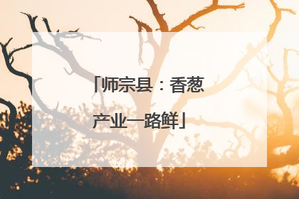 师宗县：香葱产业一路鲜