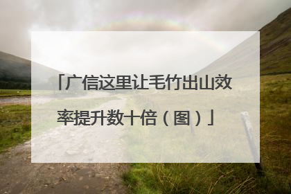 广信这里让毛竹出山效率提升数十倍（图）