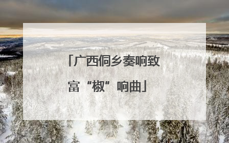 广西侗乡奏响致富“椒”响曲