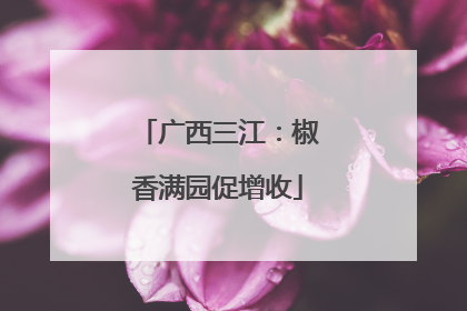 广西三江：椒香满园促增收