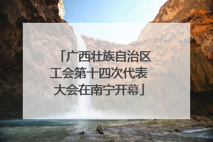 广西壮族自治区工会第十四次代表大会在南宁开幕