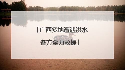 广西多地遭遇洪水 各方全力救援