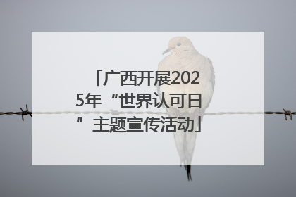 广西开展2025年“世界认可日”主题宣传活动
