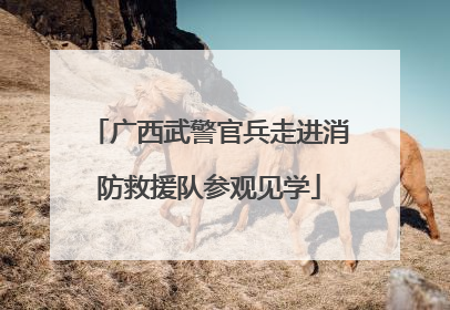 广西武警官兵走进消防救援队参观见学