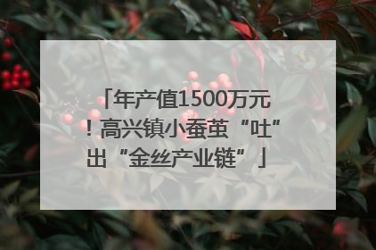 年产值1500万元！高兴镇小蚕茧“吐”出“金丝产业链”