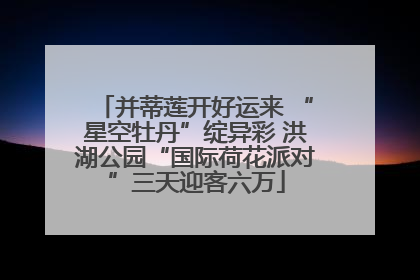 并蒂莲开好运来 “星空牡丹”绽异彩 洪湖公园“国际荷花派对”三天迎客六万