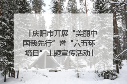 庆阳市开展“美丽中国我先行”暨“六五环境日”主题宣传活动