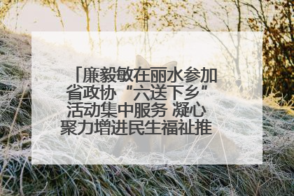 廉毅敏在丽水参加省政协“六送下乡”活动集中服务 凝心聚力增进民生福祉推进共同富裕