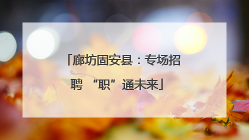 廊坊固安县：专场招聘 “职”通未来