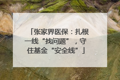 张家界医保：扎根一线“找问题”，守住基金“安全线”