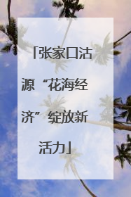 张家口沽源“花海经济”绽放新活力