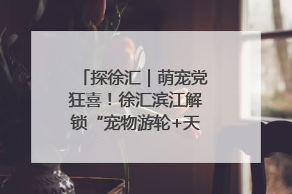 探徐汇｜萌宠党狂喜！徐汇滨江解锁“宠物游轮+天台乐园”双玩法
