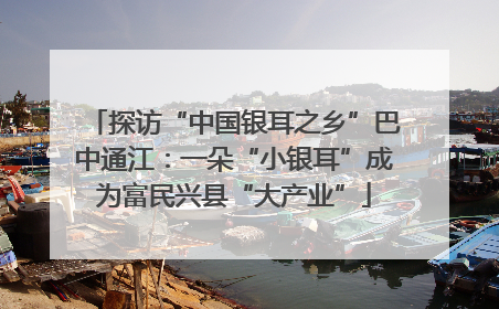 探访“中国银耳之乡”巴中通江：一朵“小银耳”成为富民兴县“大产业”