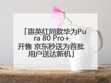 惠英红同款华为Pura 80 Pro+开售 京东秒送为首批用户送达新机