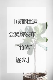成都世运会奖牌发布 “竹光”逐光
