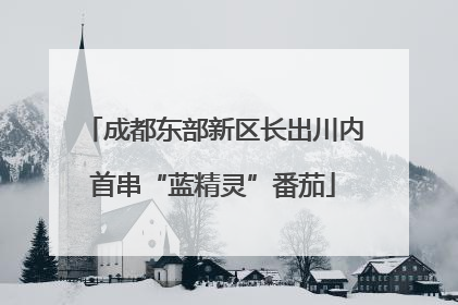 成都东部新区长出川内首串“蓝精灵”番茄