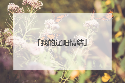 我的辽阳情结