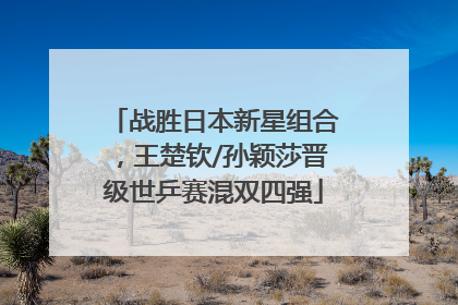 战胜日本新星组合，王楚钦/孙颖莎晋级世乒赛混双四强