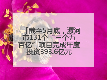 截至5月底，漯河市131个“三个五百亿”项目完成年度投资393.6亿元，占年度投资计划的50.41%——“三个五百亿”项目带动产业提质升级