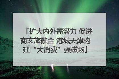 扩大内外需潜力 促进商文旅融合 港城天津构建“大消费”强磁场
