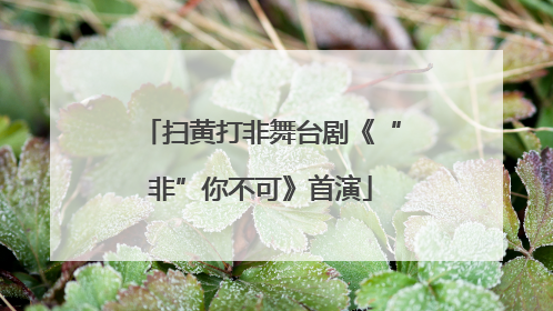 扫黄打非舞台剧《“非”你不可》首演