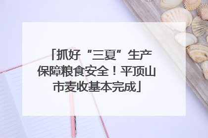 抓好“三夏”生产 保障粮食安全！平顶山市麦收基本完成