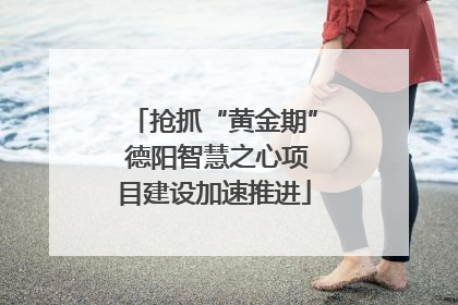 抢抓“黄金期” 德阳智慧之心项目建设加速推进