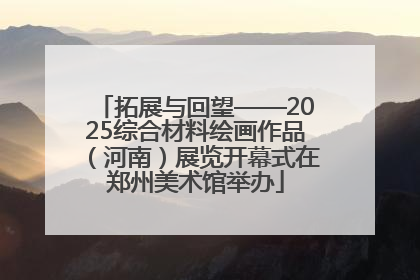 拓展与回望——2025综合材料绘画作品（河南）展览开幕式在郑州美术馆举办