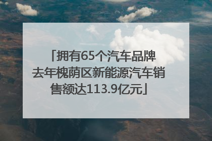 拥有65个汽车品牌 去年槐荫区新能源汽车销售额达113.9亿元