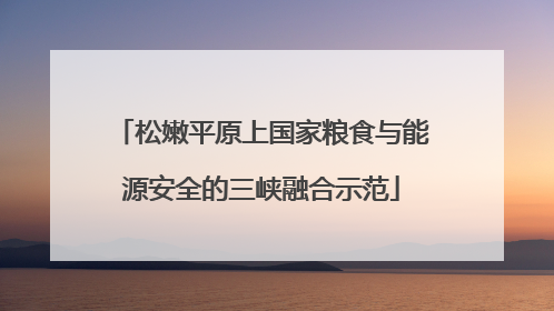松嫩平原上国家粮食与能源安全的三峡融合示范