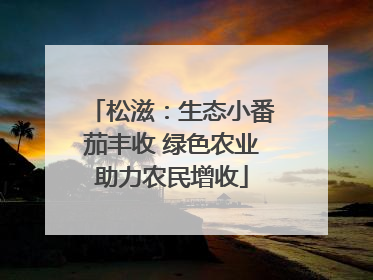 松滋：生态小番茄丰收 绿色农业助力农民增收