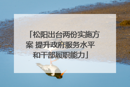松阳出台两份实施方案 提升政府服务水平和干部履职能力