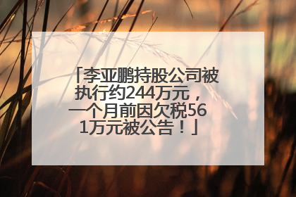李亚鹏持股公司被执行约244万元，一个月前因欠税561万元被公告！