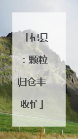 杞县：颗粒归仓丰收忙
