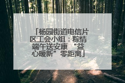 杨园街道电信片区工会小组：粽情端午送安康 “益心暖新”零距离