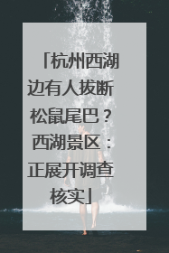 杭州西湖边有人拔断松鼠尾巴？西湖景区：正展开调查核实