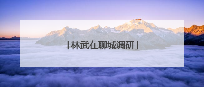 林武在聊城调研