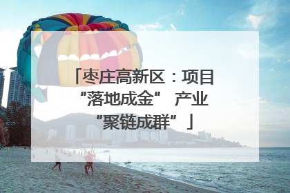 枣庄高新区：项目“落地成金” 产业“聚链成群”