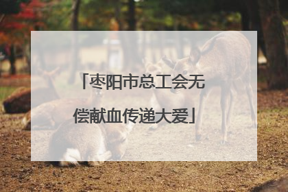 枣阳市总工会无偿献血传递大爱