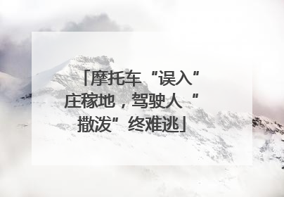 摩托车“误入”庄稼地，驾驶人“撒泼”终难逃