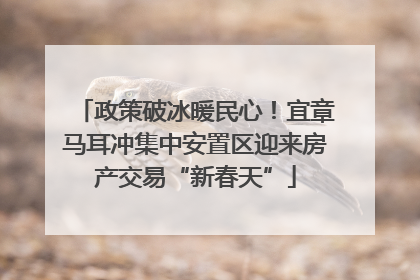 政策破冰暖民心！宜章马耳冲集中安置区迎来房产交易“新春天”