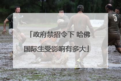 政府禁招令下 哈佛国际生受影响有多大