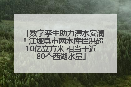 数字孪生助力澧水安澜！江垭皂市两水库拦洪超10亿立方米 相当于近80个西湖水量