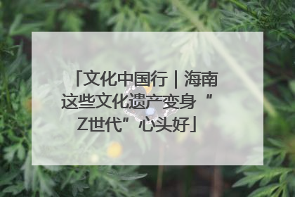 文化中国行｜海南这些文化遗产变身“Z世代”心头好