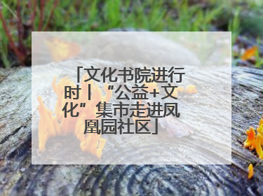 文化书院进行时丨“公益+文化”集市走进凤凰园社区